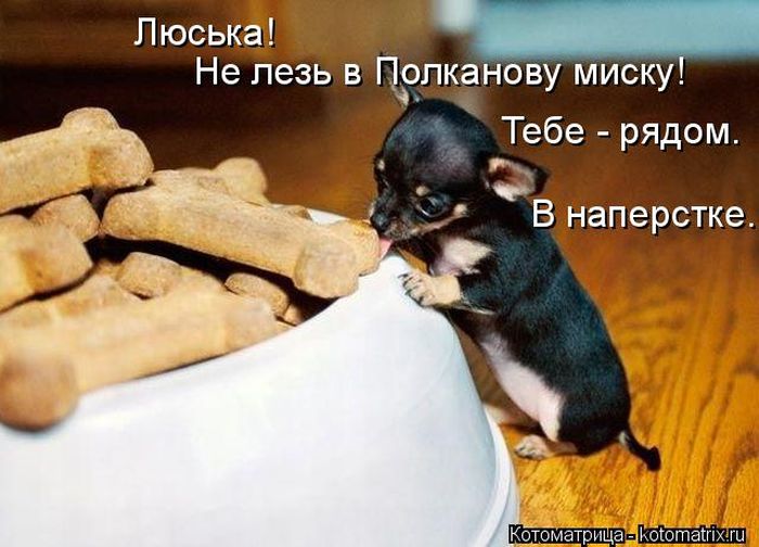Забавные котоматрицы