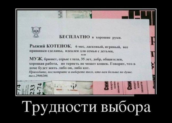 Демотиваторы (30 фото)