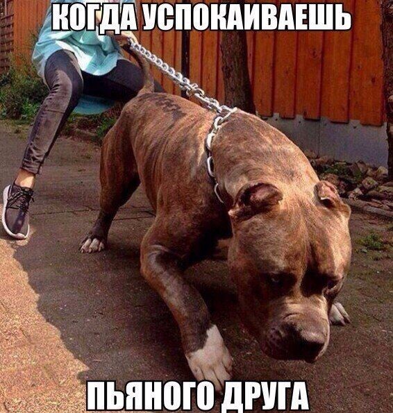 Подборка прикольных фото (104 фото)
