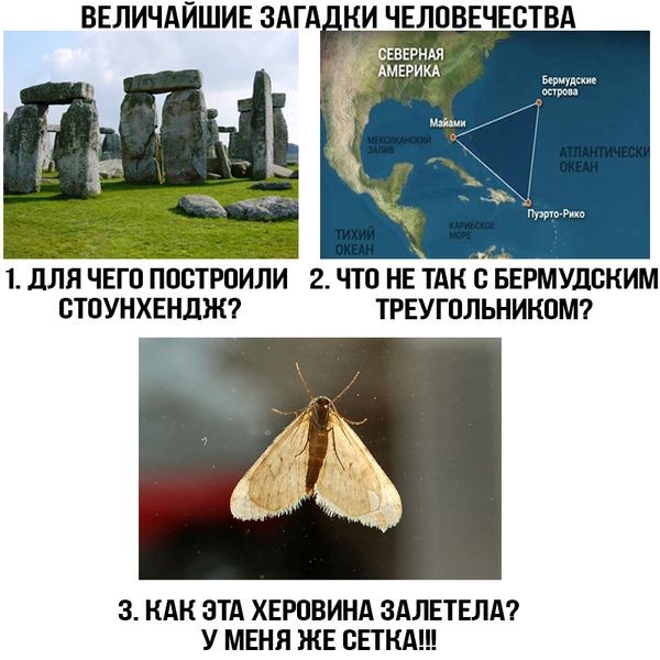 Подборка прикольных фото (104 фото)