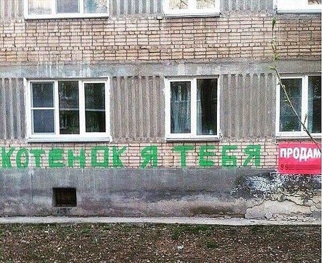 Подборка прикольных фото (104 фото)