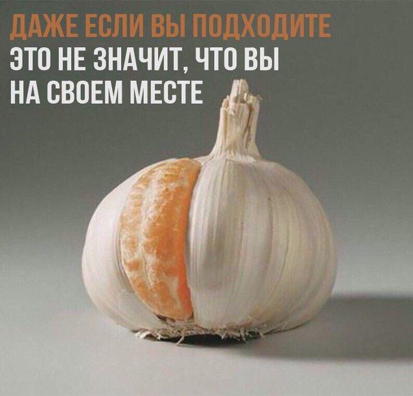 Подборка прикольных фото (104 фото)
