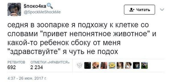 Подборка прикольных фото (101 фото)