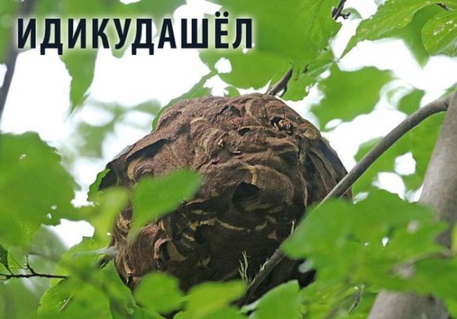 Подборка прикольных фото (104 фото)