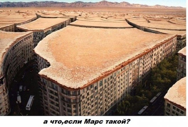 Подборка прикольных фото (122 фото)