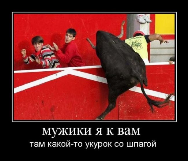 Демотиваторы (30 фото)