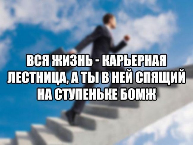 Подборка прикольных фото (101 фото)
