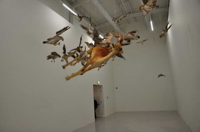 Современный художник Cai Guo-Qiang
