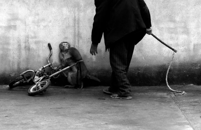 World Press Photo 2015