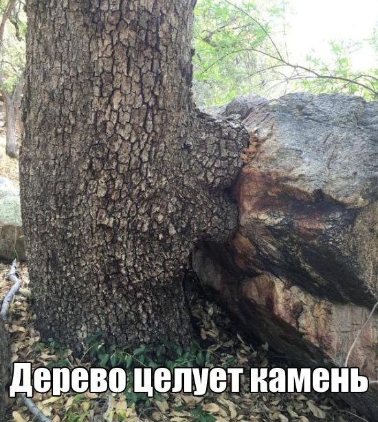 Прикольные картинки (116 фото)