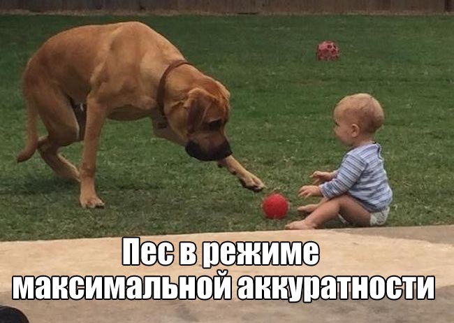 Прикольные картинки (116 фото)