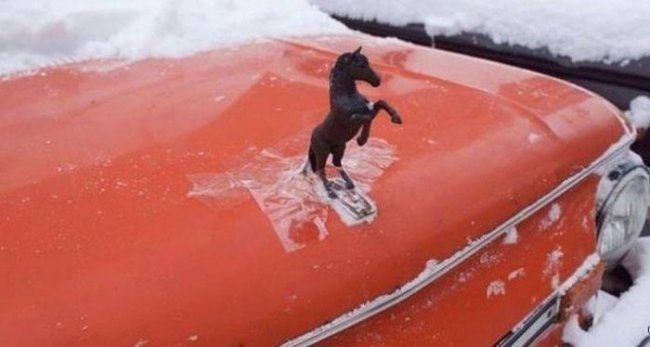 Прикольные картинки (116 фото)