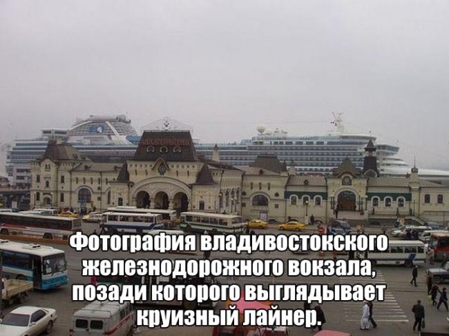 Прикольные картинки (116 фото)