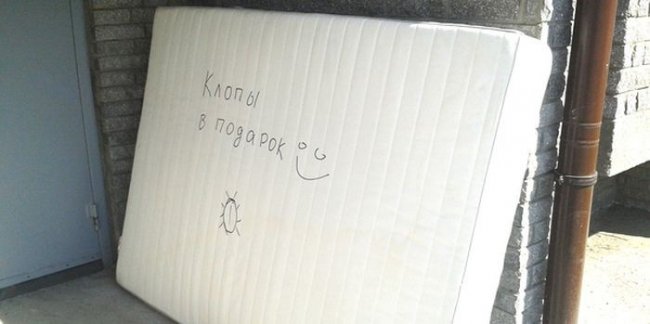Прикольные картинки (116 фото)