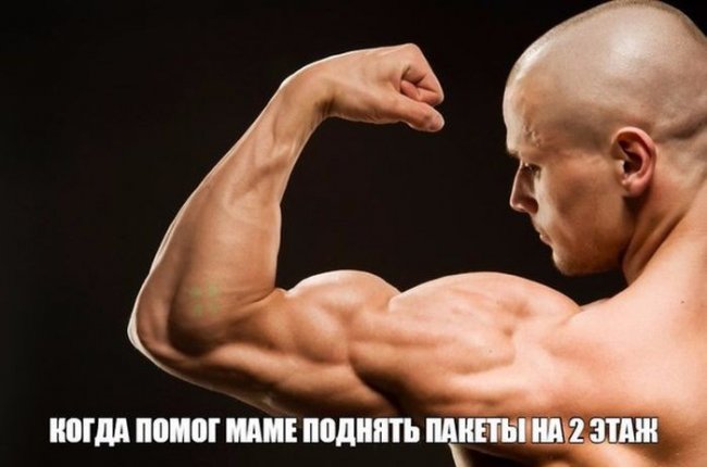 Прикольные картинки (116 фото)