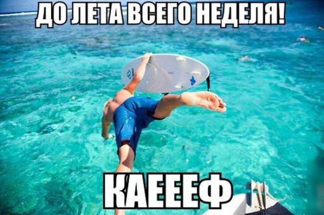 Прикольные картинки (116 фото)