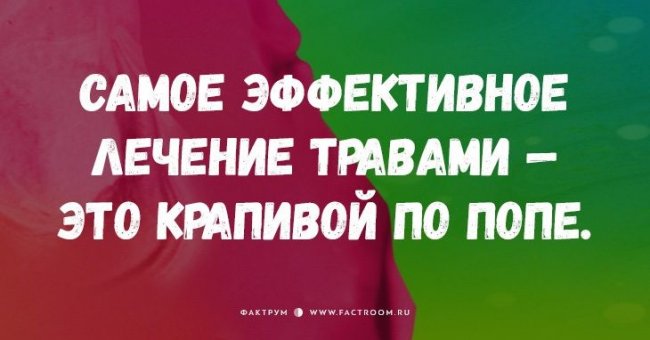 10 коротких анекдотов-наблюдений из реальной жизни