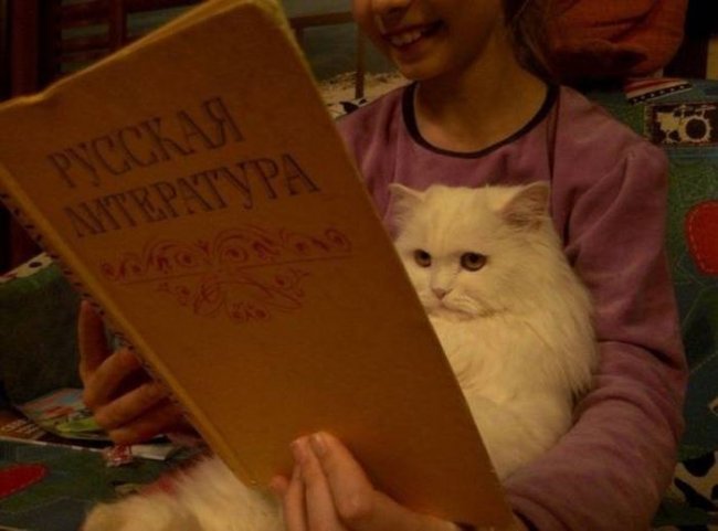 Подборка прикольных фото (105 фото)