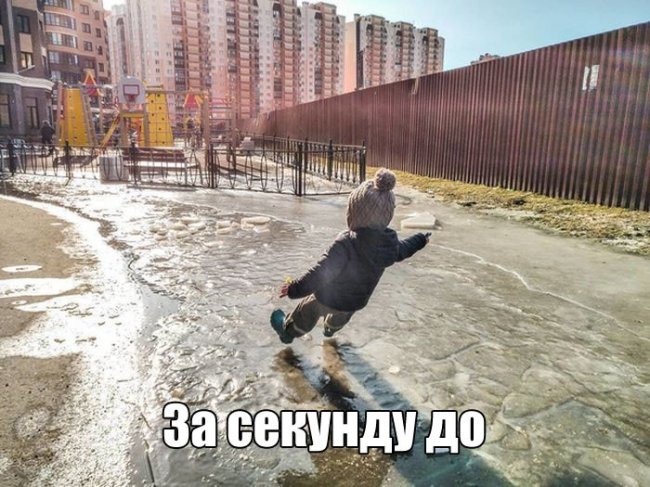 Подборка прикольных фото (105 фото)