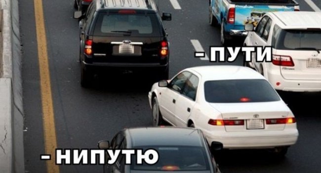 Подборка прикольных фото (107 фото)