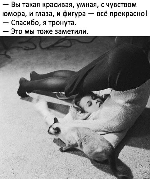 Подборка прикольных фото (105 фото)