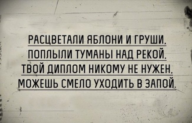 Подборка прикольных фото (105 фото)